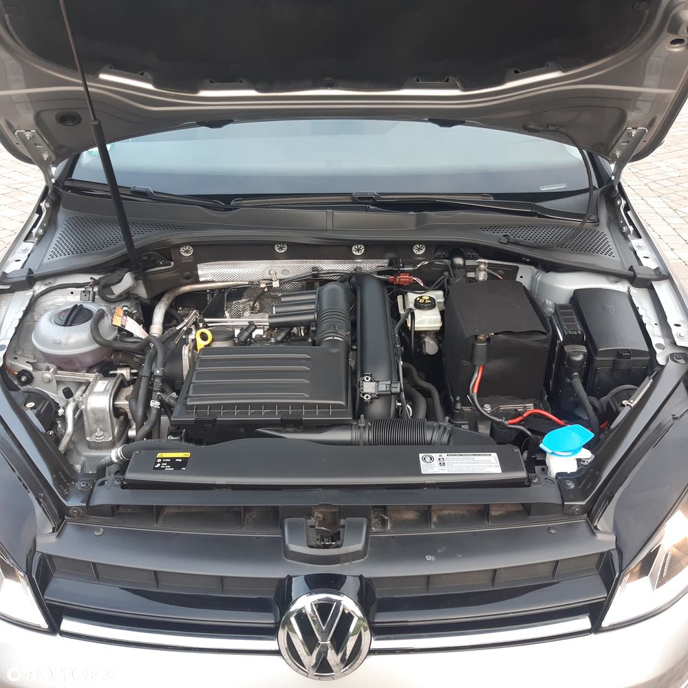 Volkswagen Golf - 17