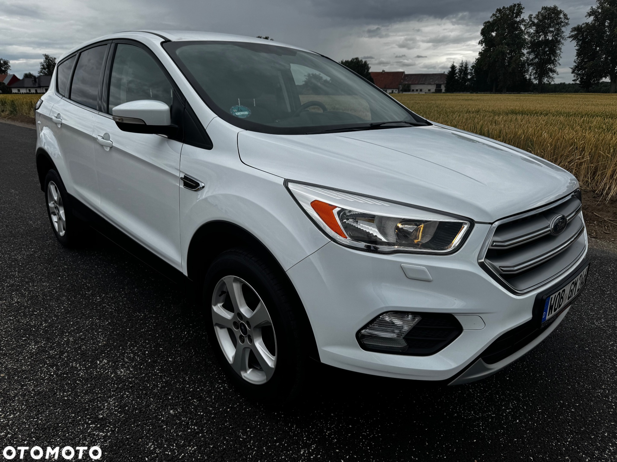 Ford Kuga 1.5 EcoBoost 2x4 Trend - 14