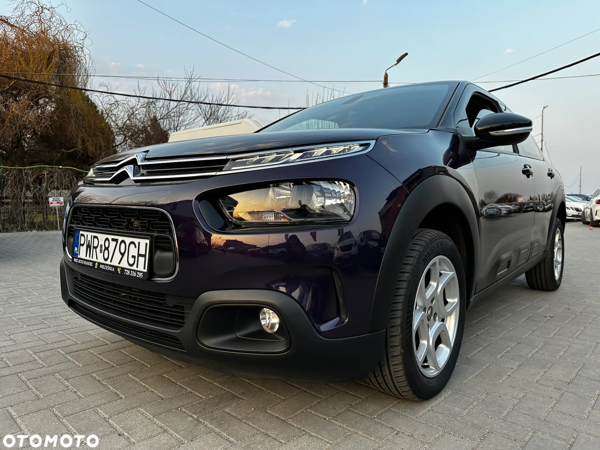 Citroën C4 Cactus - 30