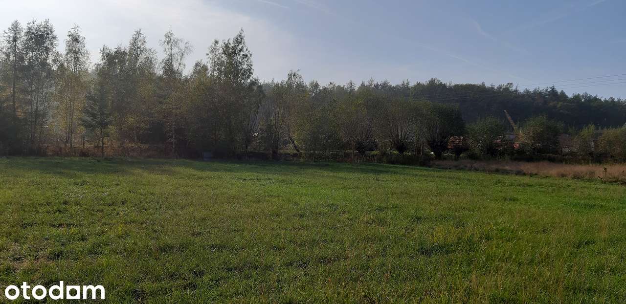 Działka budowlana, Prochowice 1200 m² , prąd, MPZP,  84 z/m2 - Pełny obrazek: 3/8