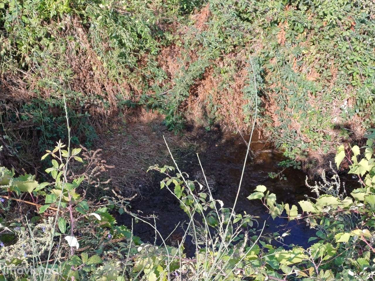 Quinta  Venda em Linhares,Celorico da Beira - Grande imagem: 4/10