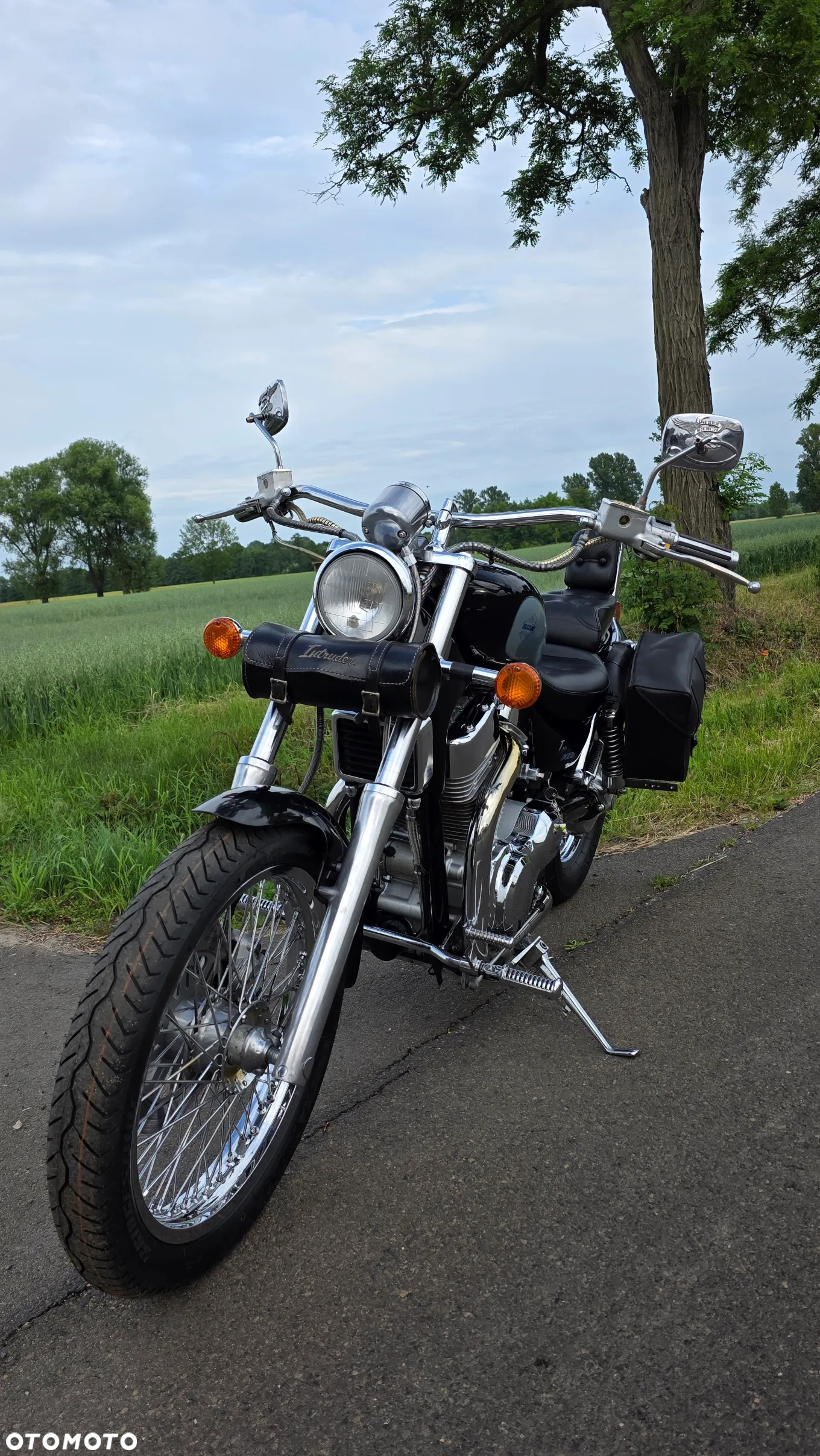 Suzuki Intruder - 7