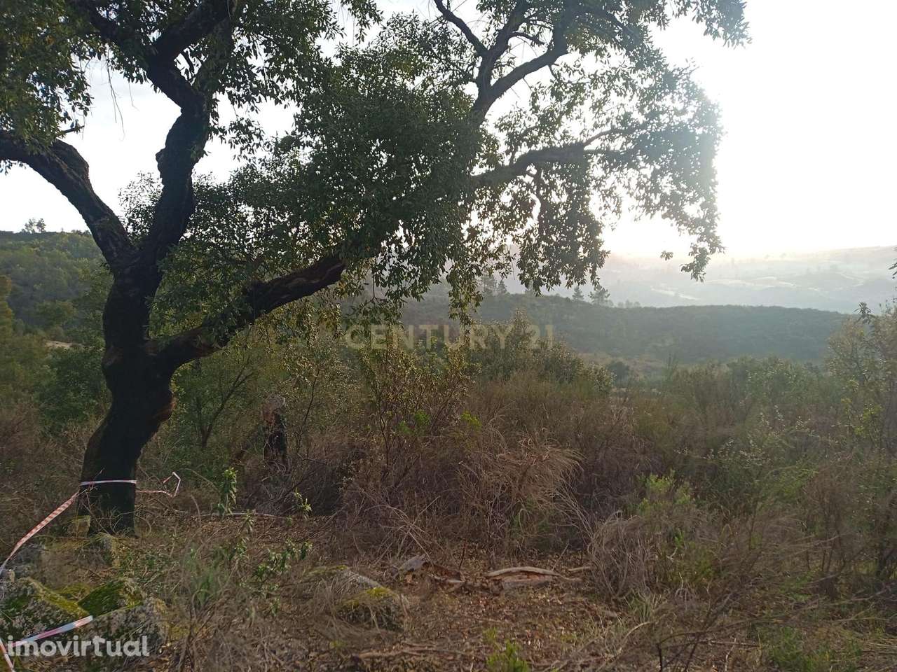Terreno rustico em Palvarinho - Grande imagem: 4/6