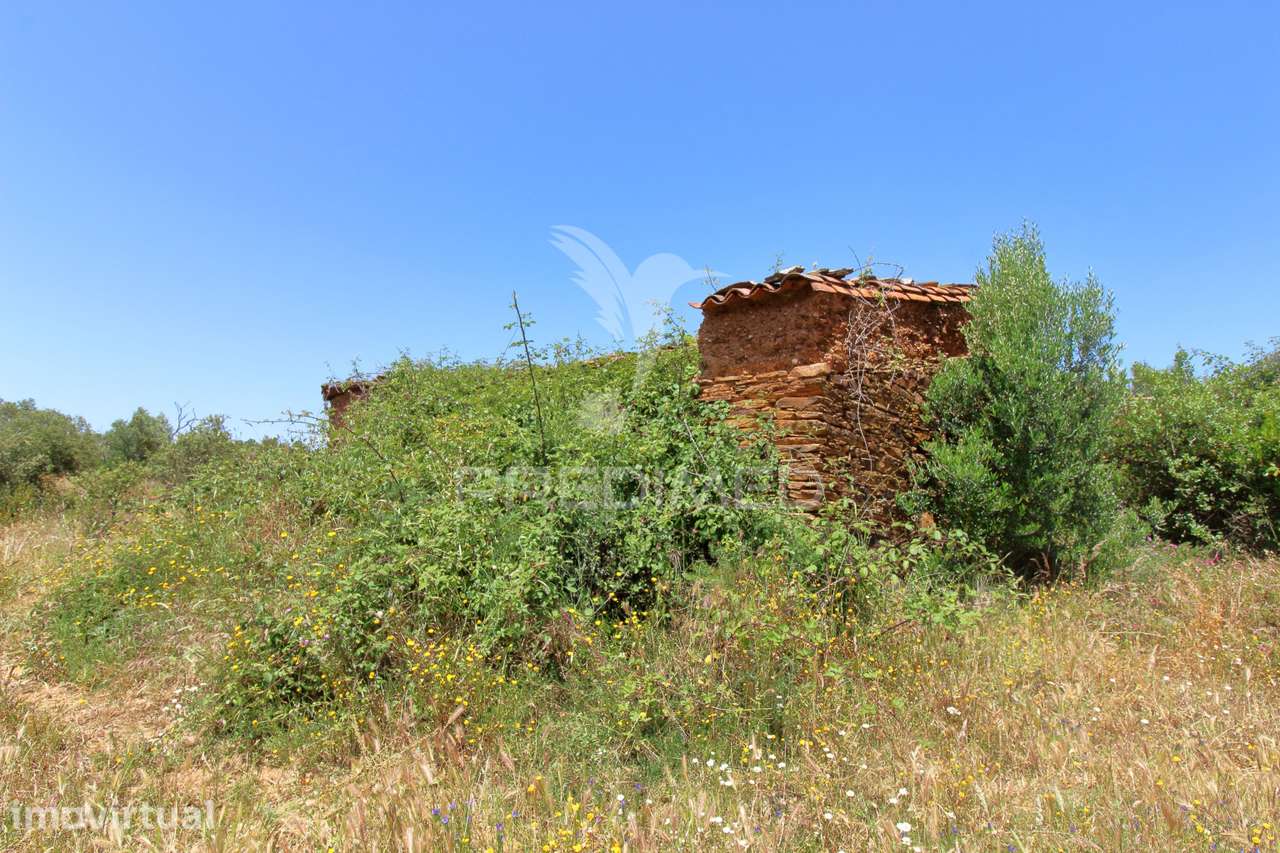 Quinta com 2,3000 ha e ruinas com 72 m2 a 11 Km de Odemira - Grande imagem: 3/22