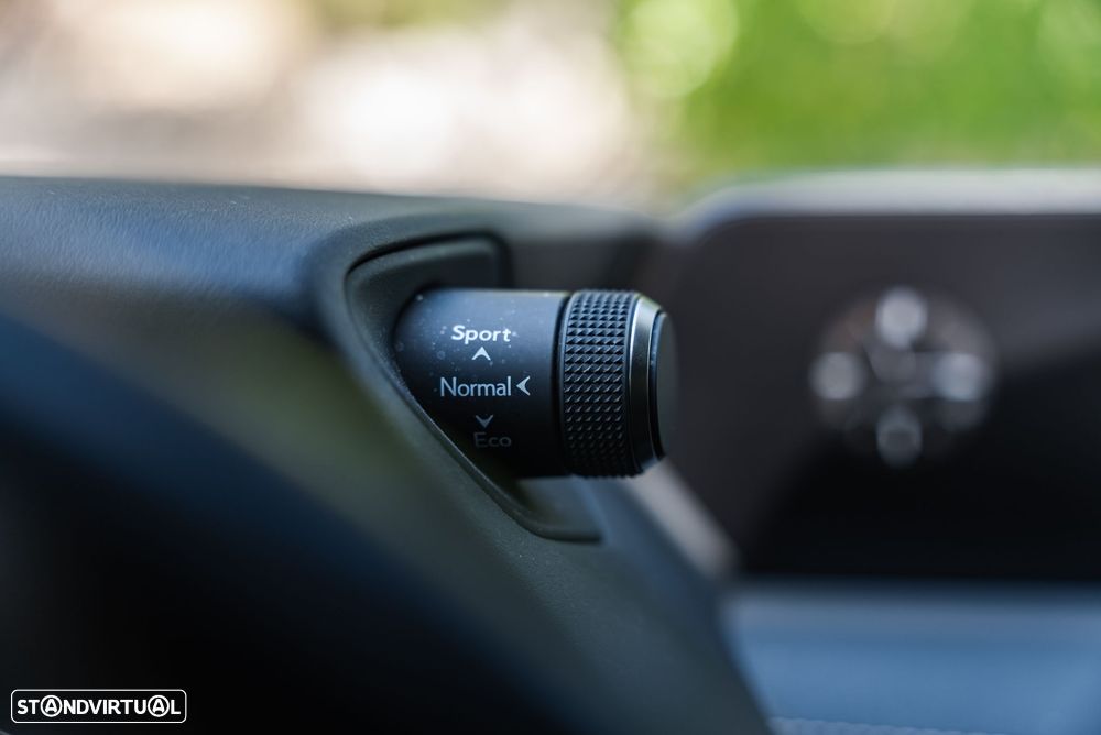 Lexus UX 250h Executive+ - 28