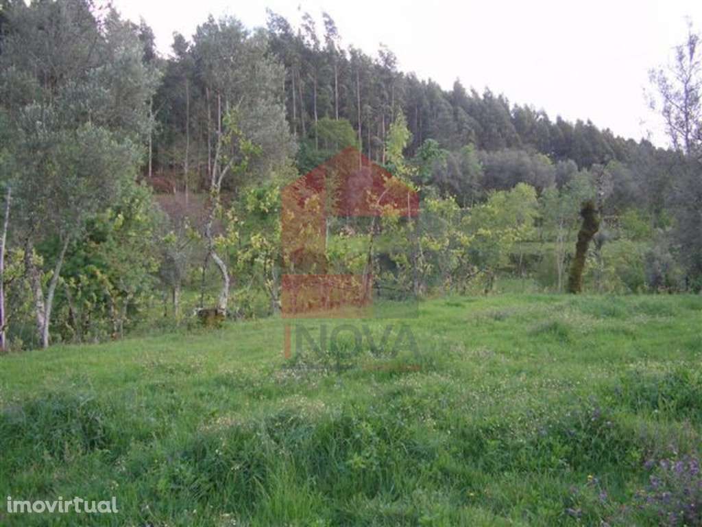 Terreno agrícola, Barros - Grande imagem: 5/8