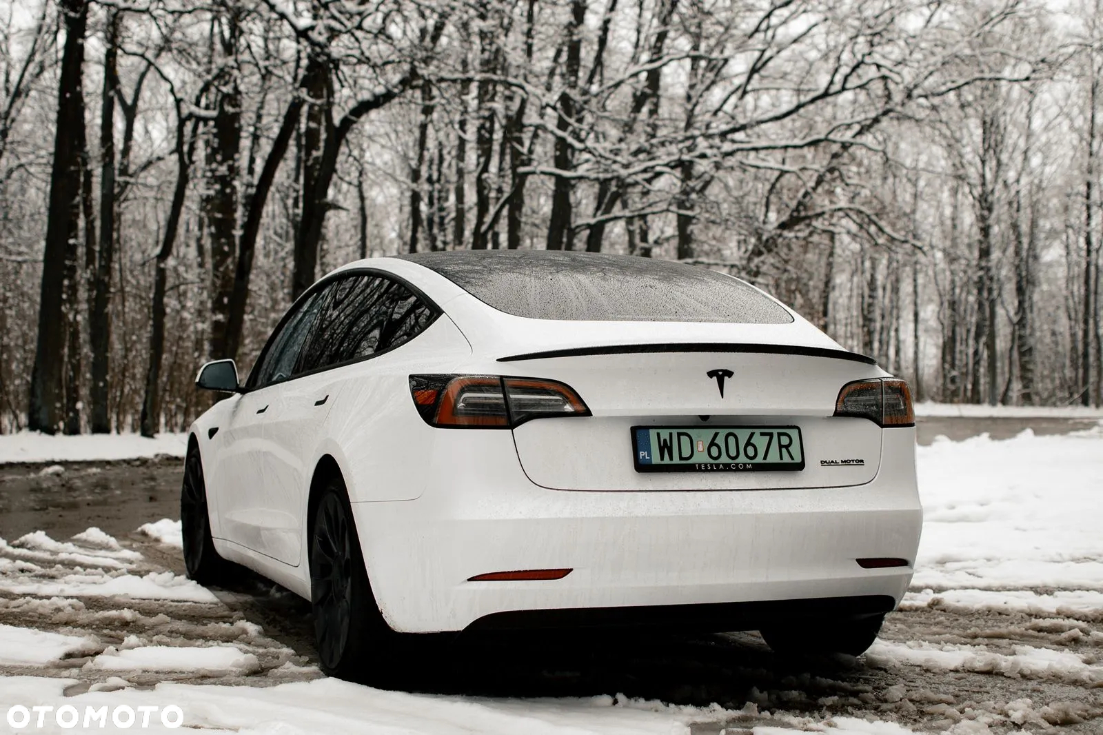 Tesla Model 3 Performance AWD - 10