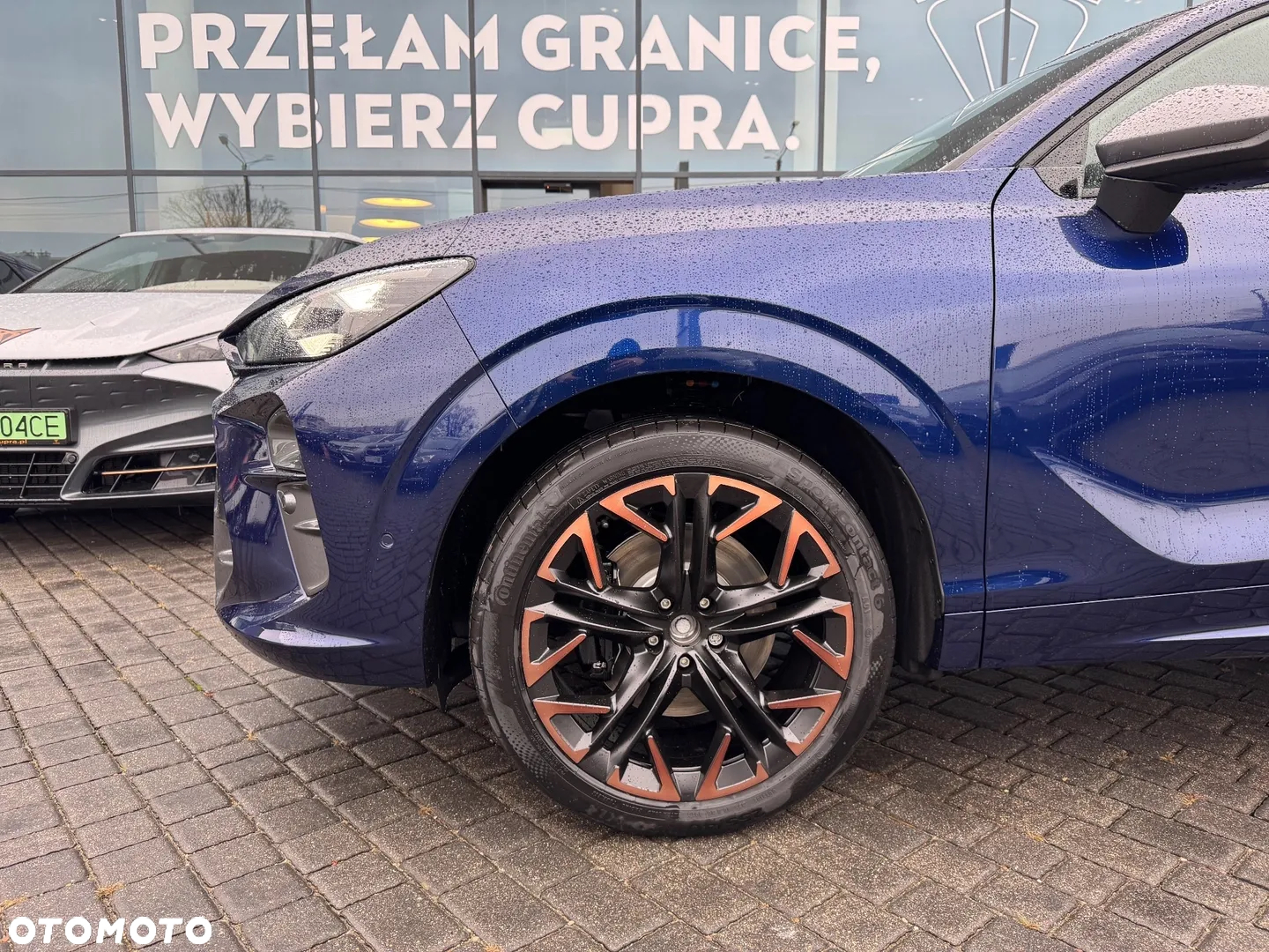 Cupra Terramar 2.0 TSI 4Drive DSG - 17