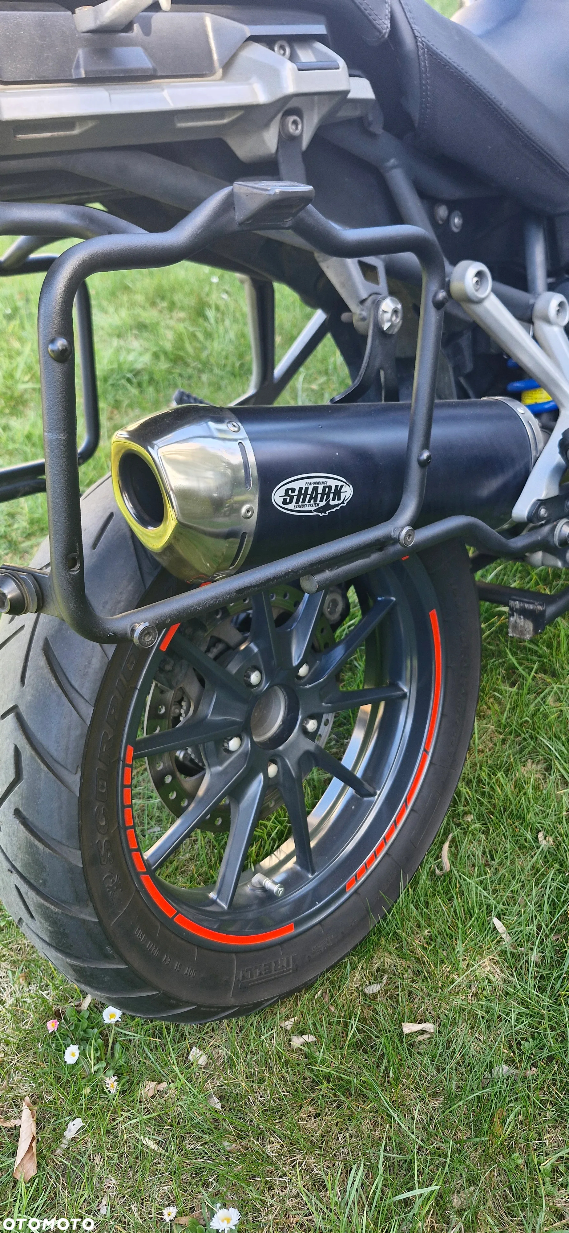 Triumph Tiger - 6