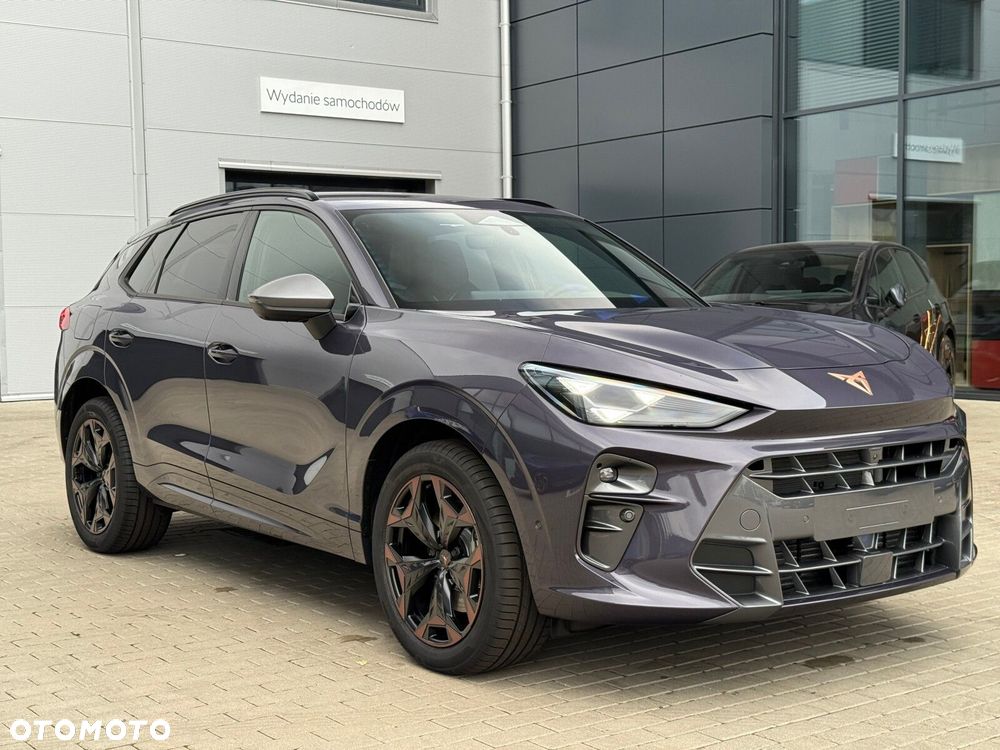 Cupra Terramar 2.0 TSI 4Drive DSG - 6