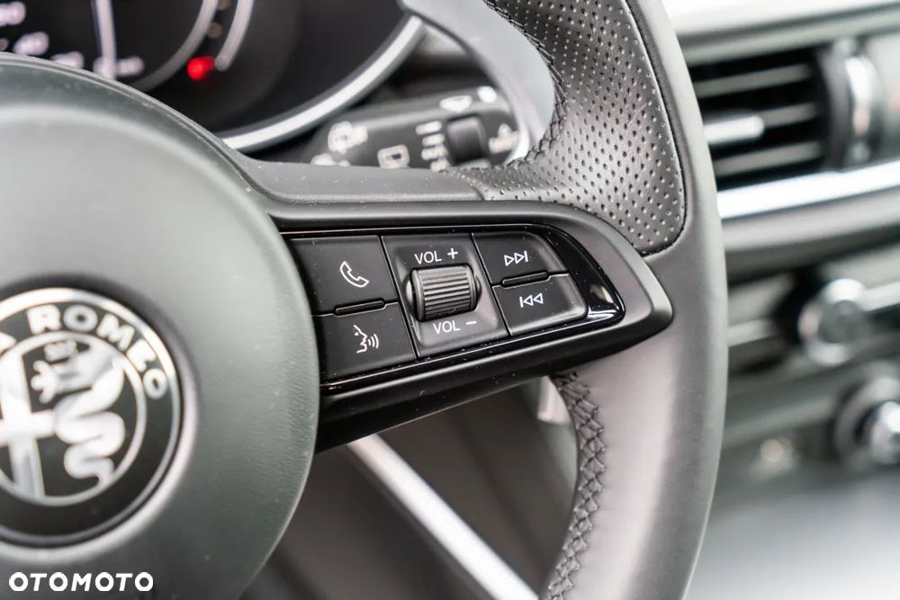 Alfa Romeo Stelvio 2.0 Turbo Veloce Q4 - 21