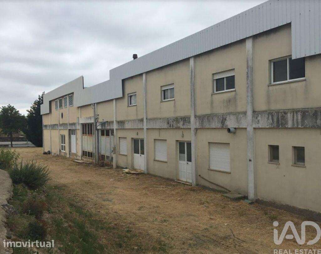 Loja / Estabelecimento Comercial em Idanha-a-Nova e Alcafozes de 3734, - Grande imagem: 2/11