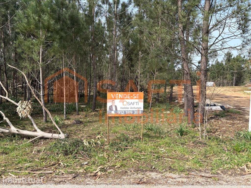 Terreno para construção | 2.760 m² | Charneca - Pombal - Grande imagem: 3/14