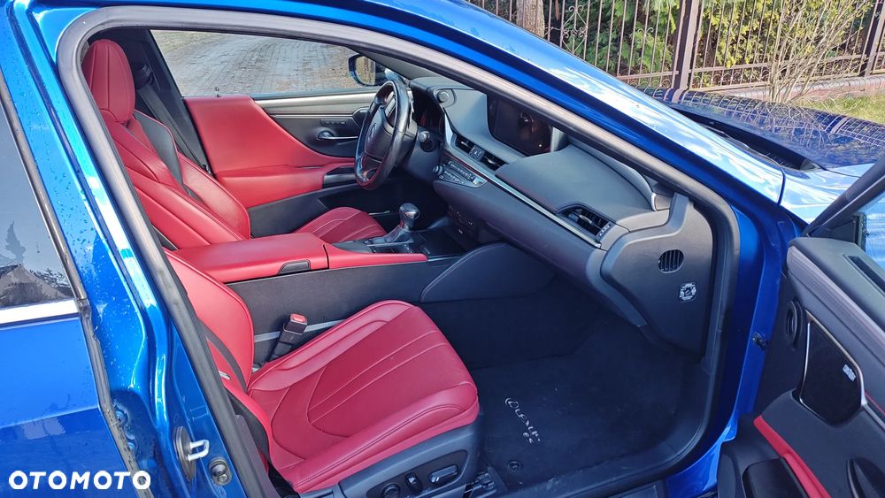 Lexus ES 300h F Sport - 19