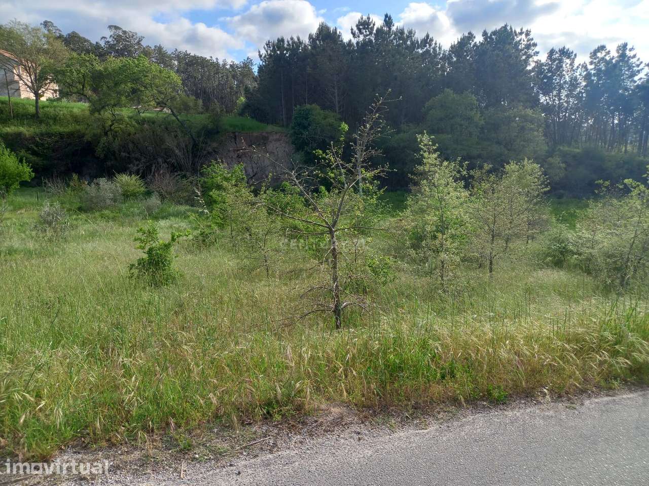 Terreno com 800 m2 em Barbas Novas - Grande imagem: 2/15