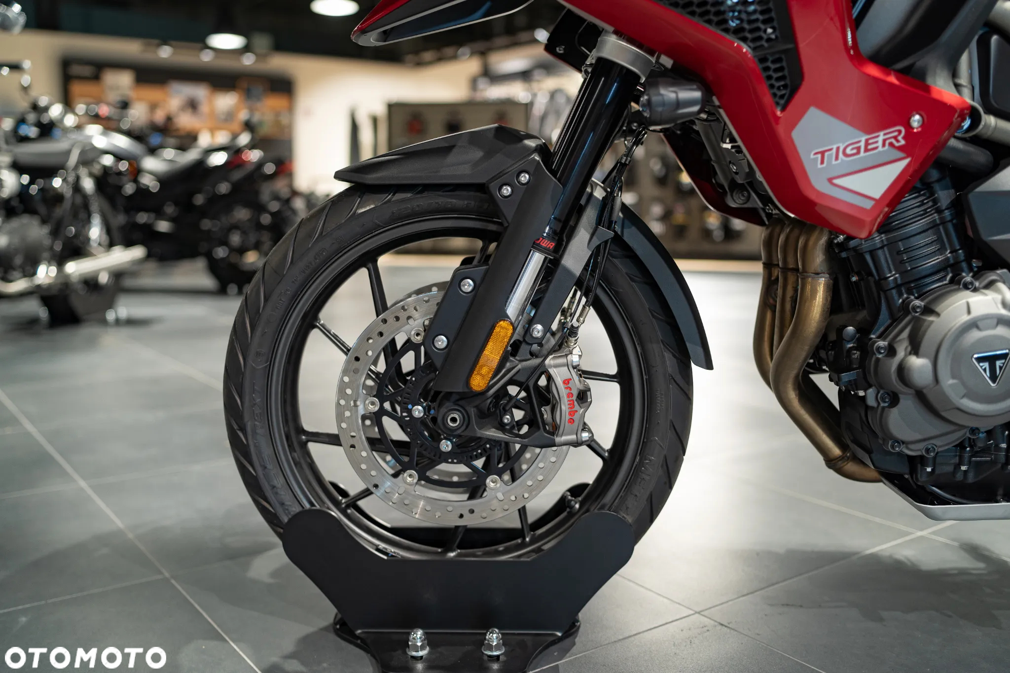 Triumph Tiger - 24