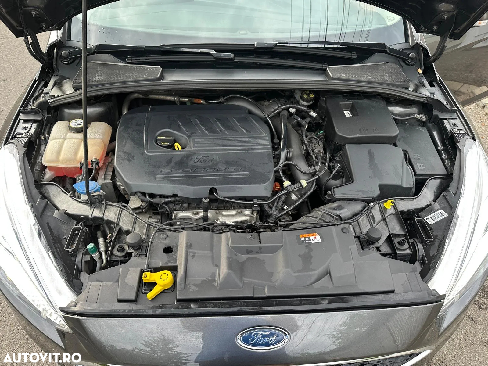 Ford Focus 1.5 Ecoboost Trend - 11