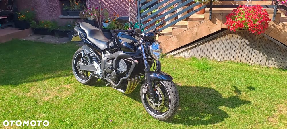 Yamaha FZ6 - 3