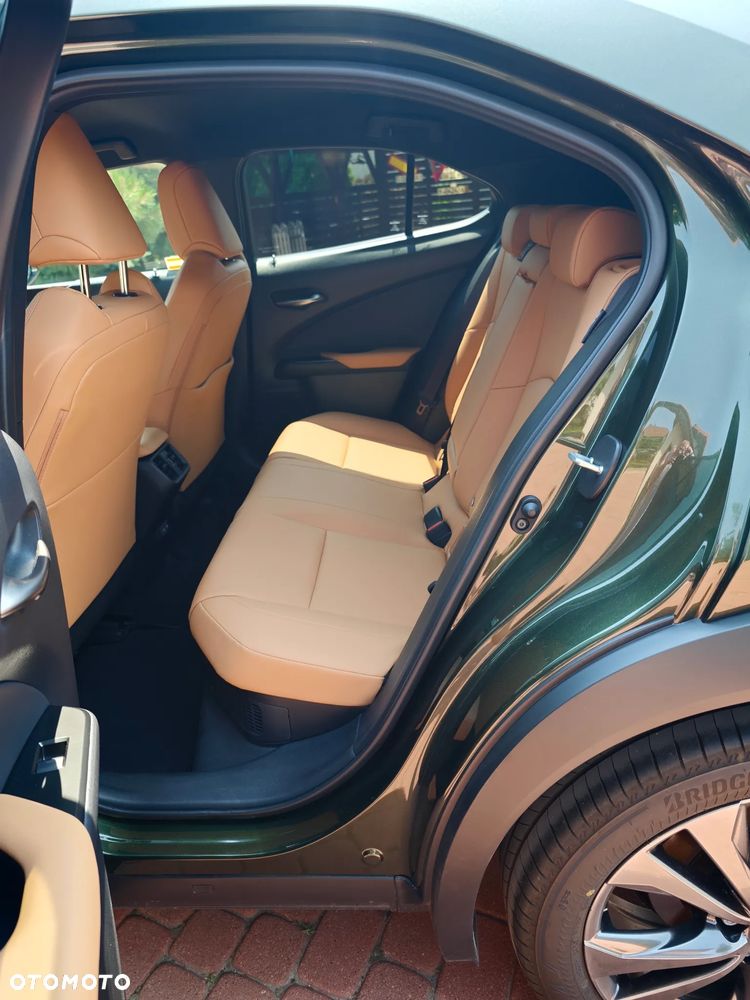 Lexus UX - 15