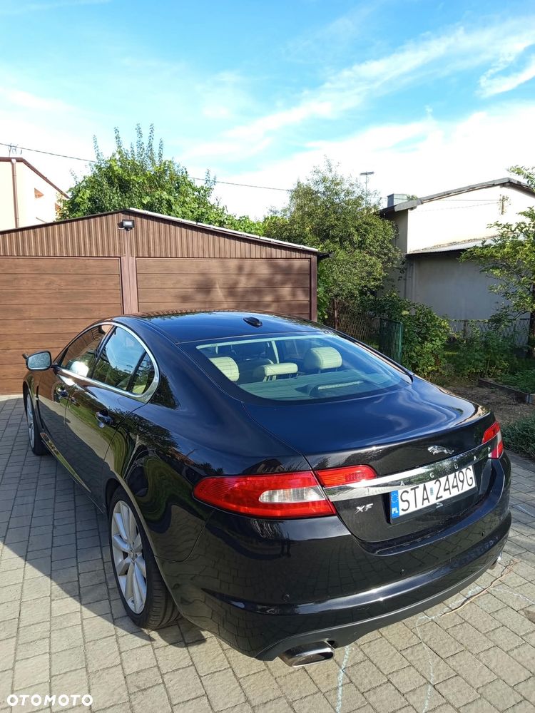 Jaguar XF 3.0 V6 D Luxury - 14