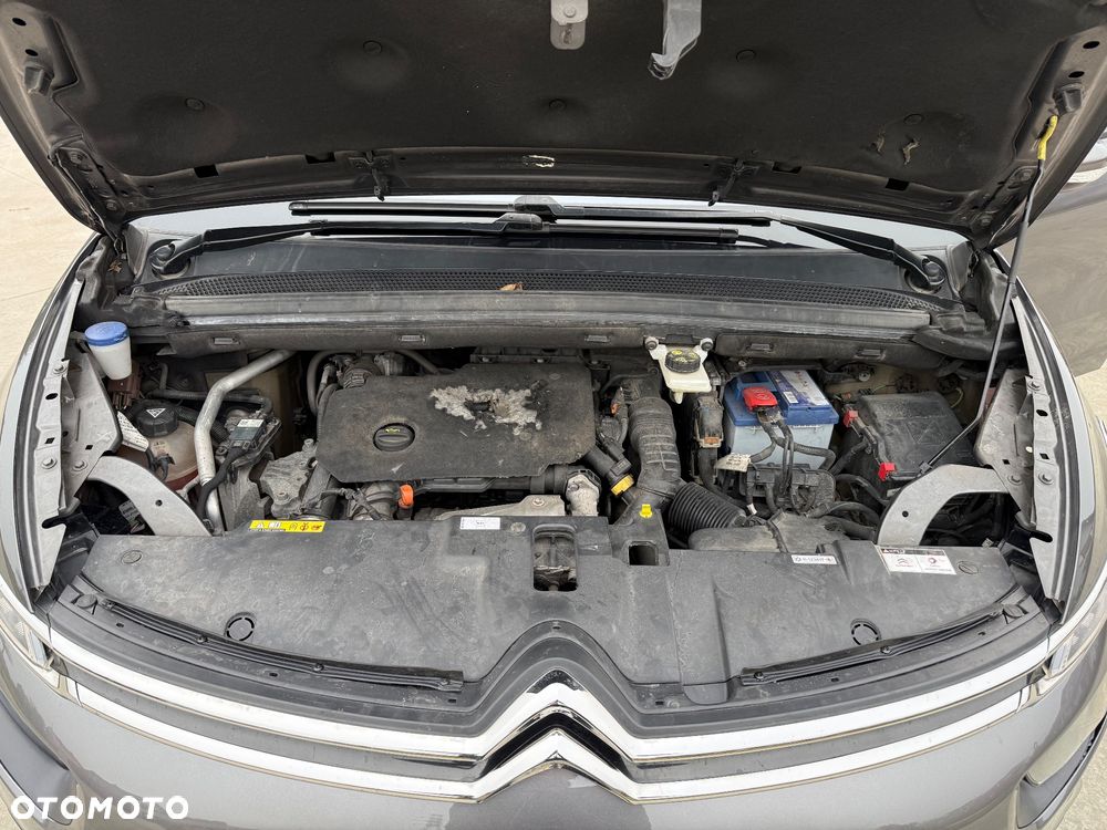 Citroën C4 SpaceTourer 1.5 BlueHDi Rip Curl S&S EAT8 - 31