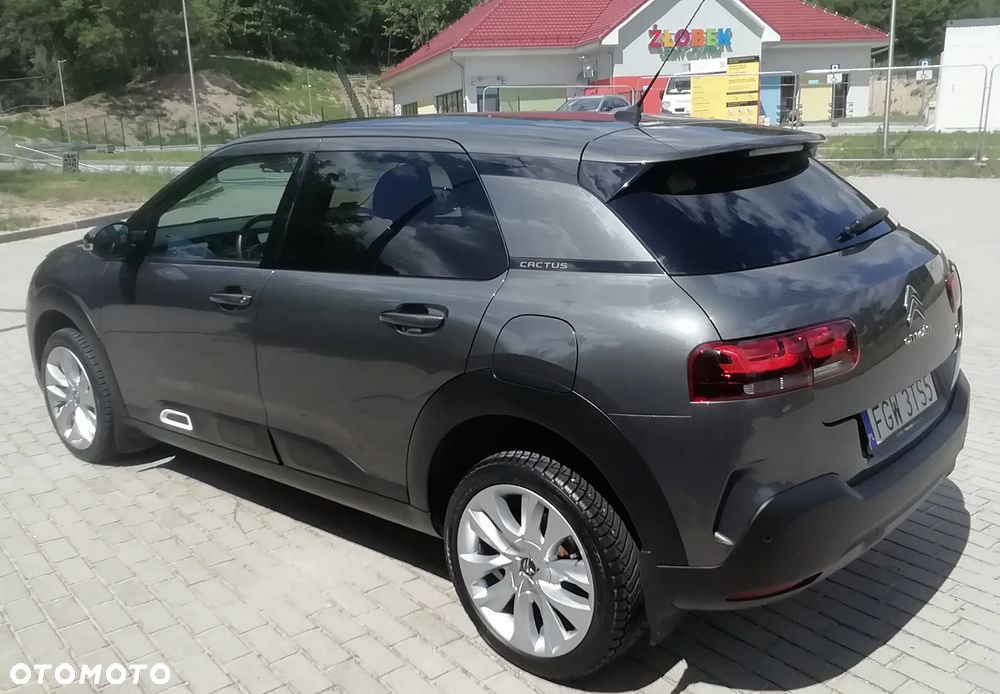 Citroën C4 Cactus 1.2 PureTech GPF Shine S&S EAT6 - 7