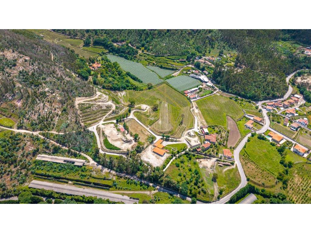 Quinta | Natureza, Vinha e Potencial de Desenvolvimento