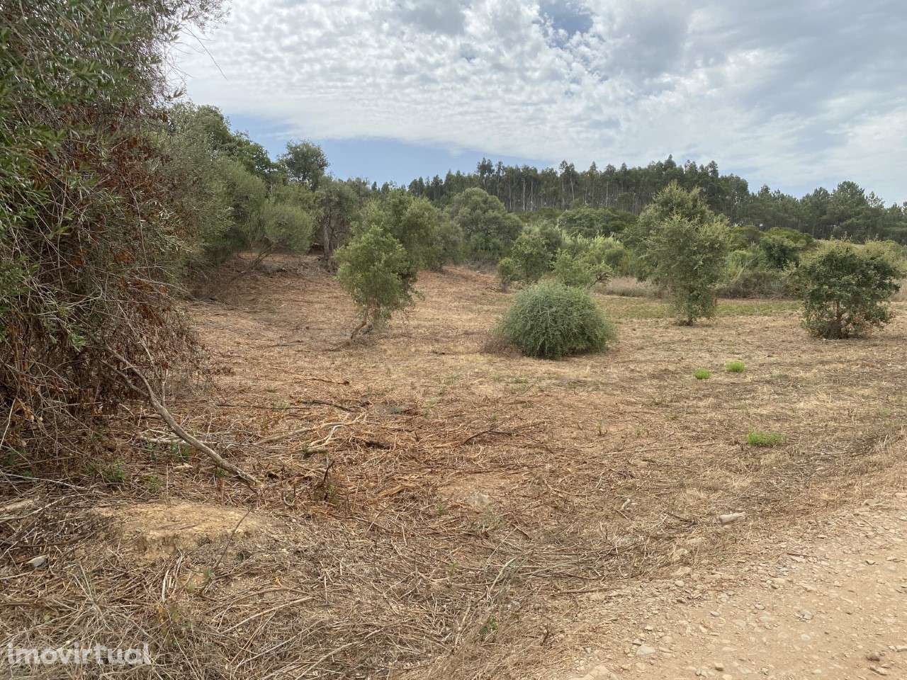 Terreno Rústico Alfambras - Grande imagem: 4/5