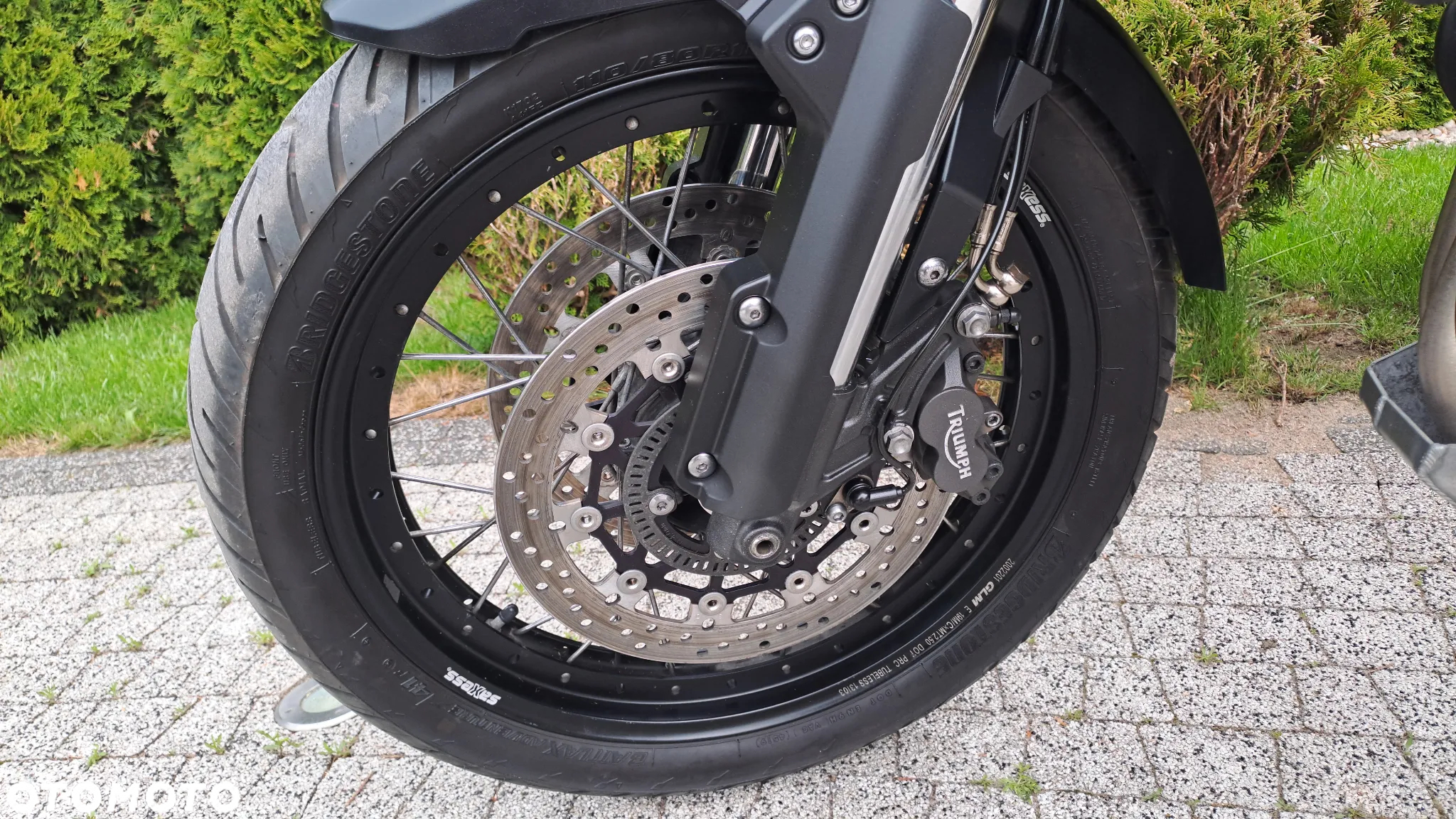 Triumph Tiger - 29
