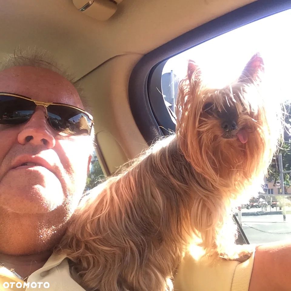 Jaguar XJ XJ6 2.7 Twin Turbo Executive Last Edition - 20