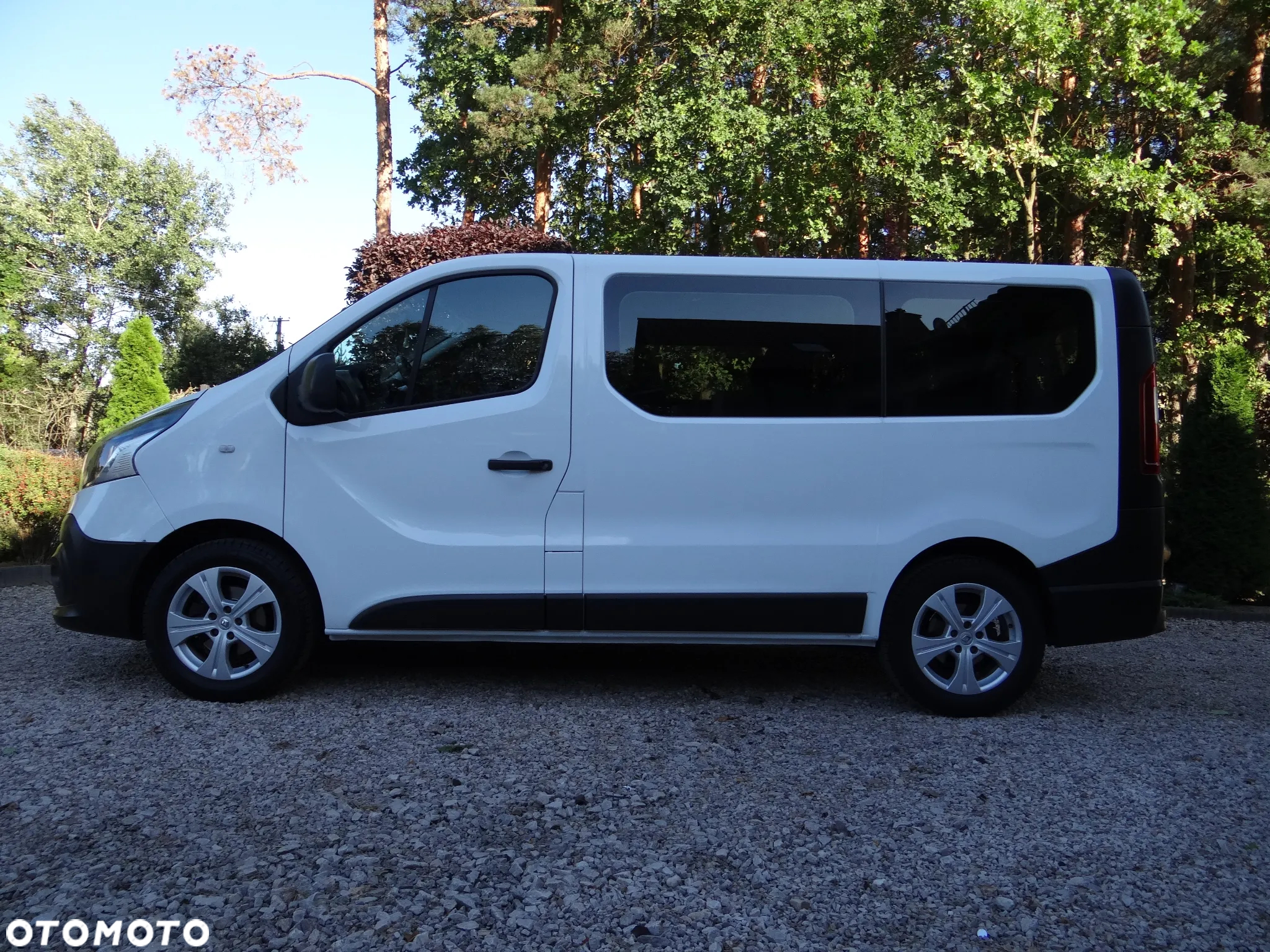 Renault Trafic (ENERGY) dCi 95 Start & Stop Grand Combi Expression - 12