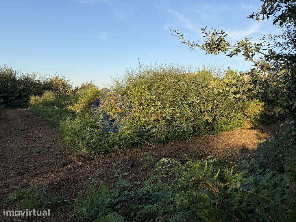 Terreno com 3.512 m2 em Pedroso – Vila Nova de Gaia - Grande imagem: 5/7