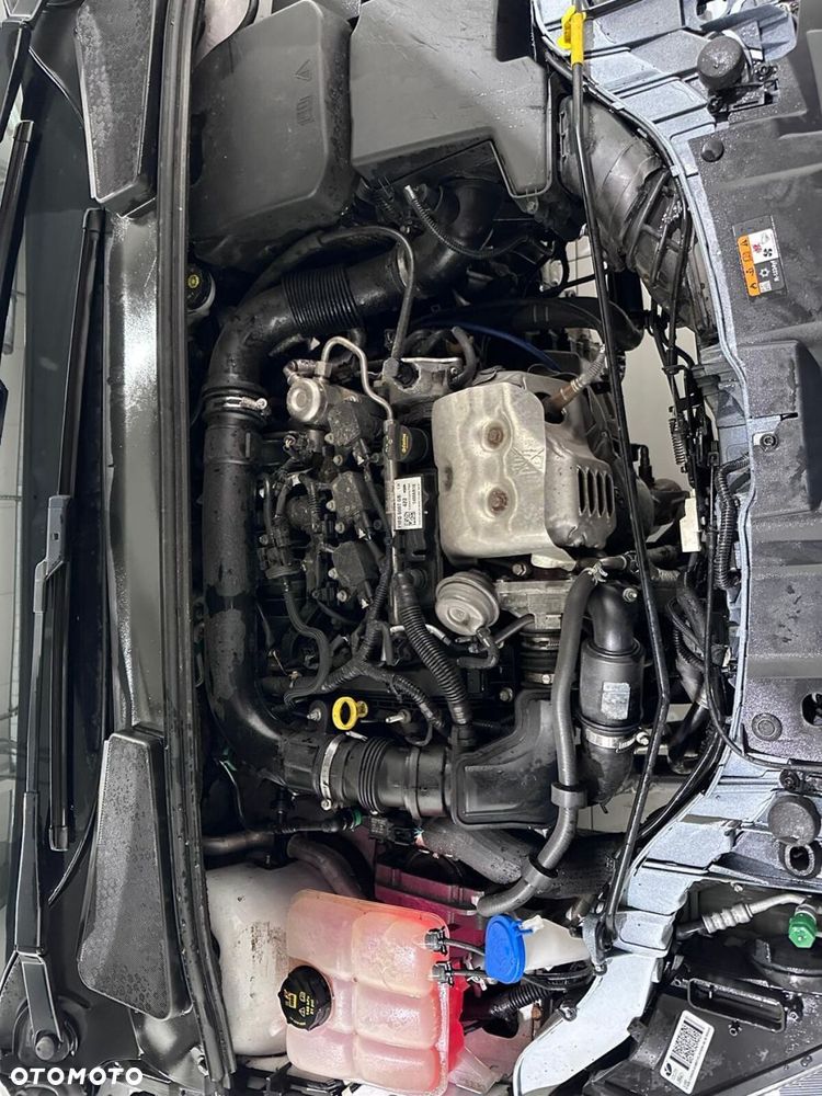 Ford Focus - 25