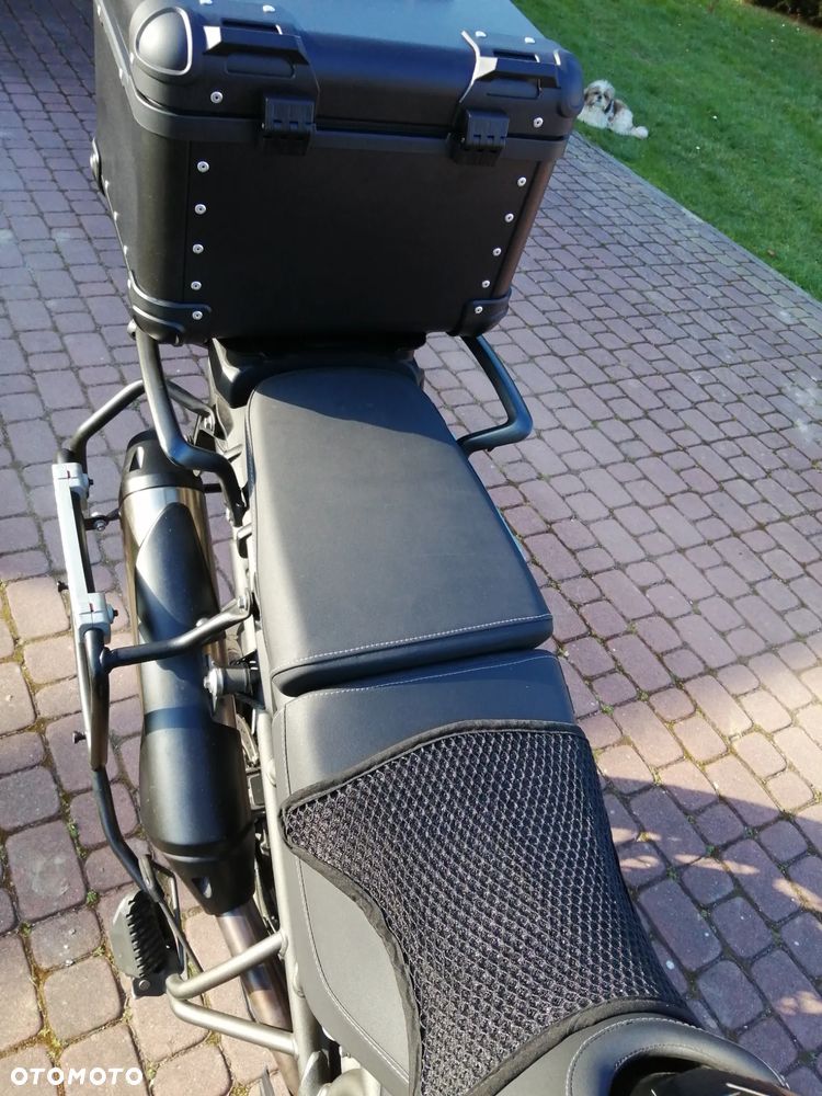 Triumph Tiger - 23