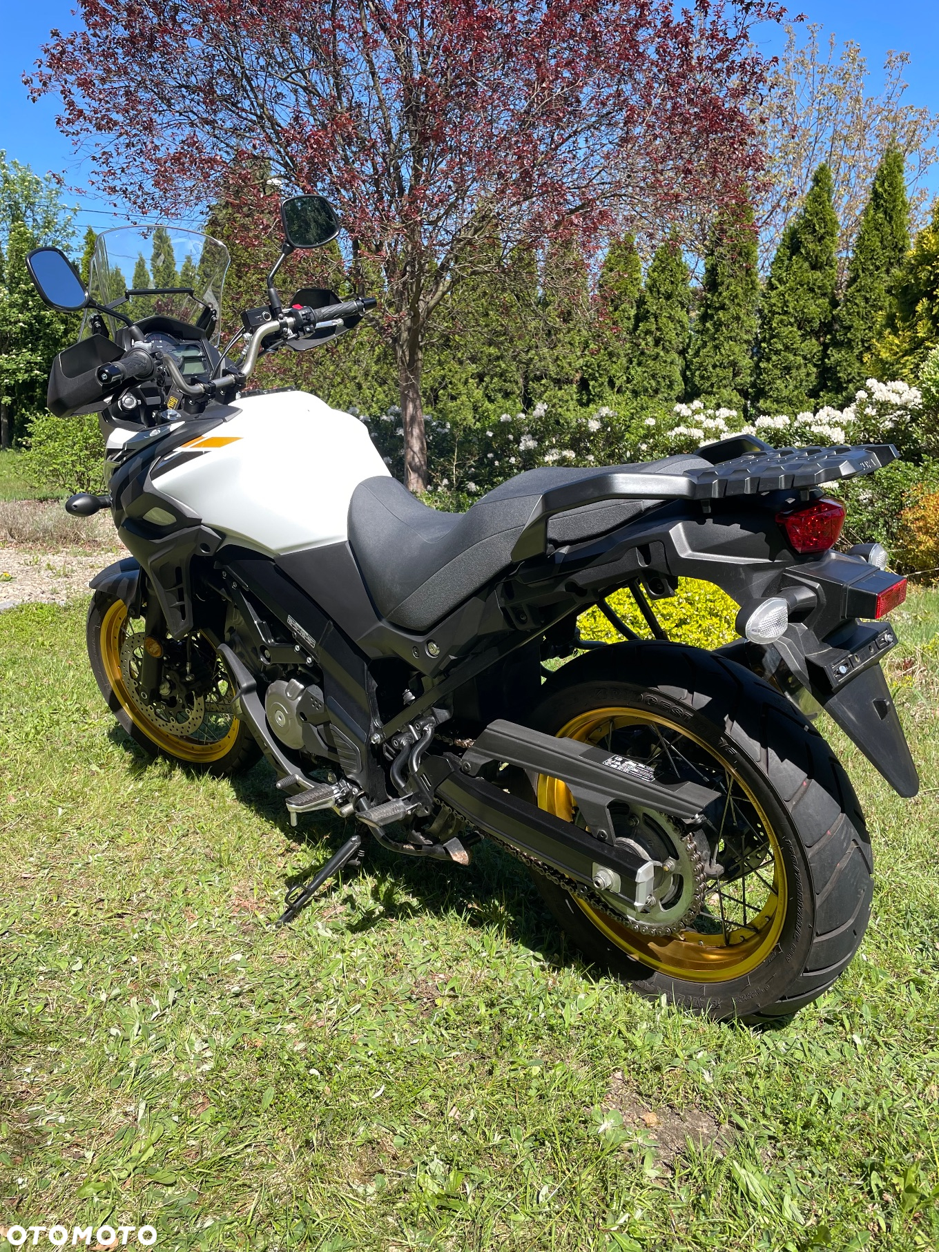 Suzuki DL