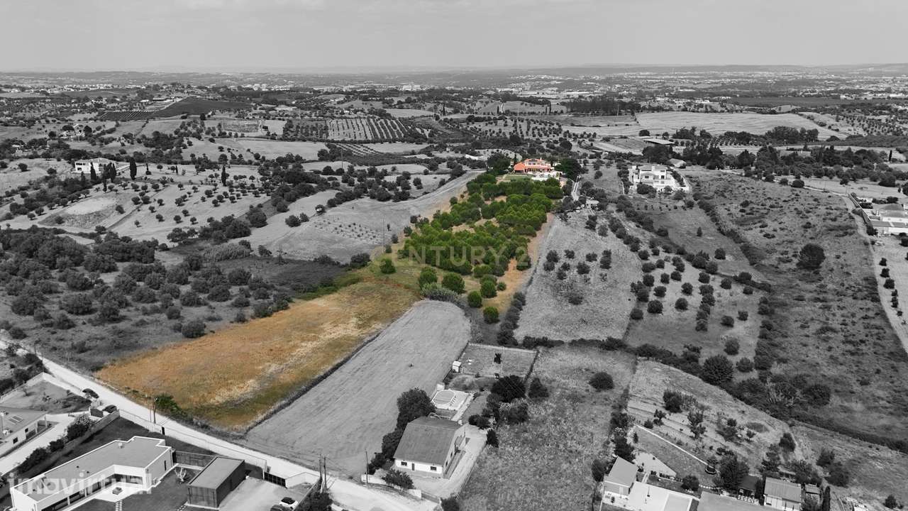 Propriedade Única com Piscina, Lago e Produção de Azeite - Grande imagem: 5/51