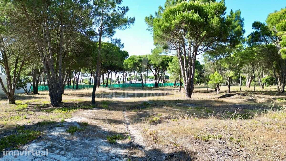 Terreno para Condomínio Privado - Lagoa da Albufeira - Grande imagem: 5/15