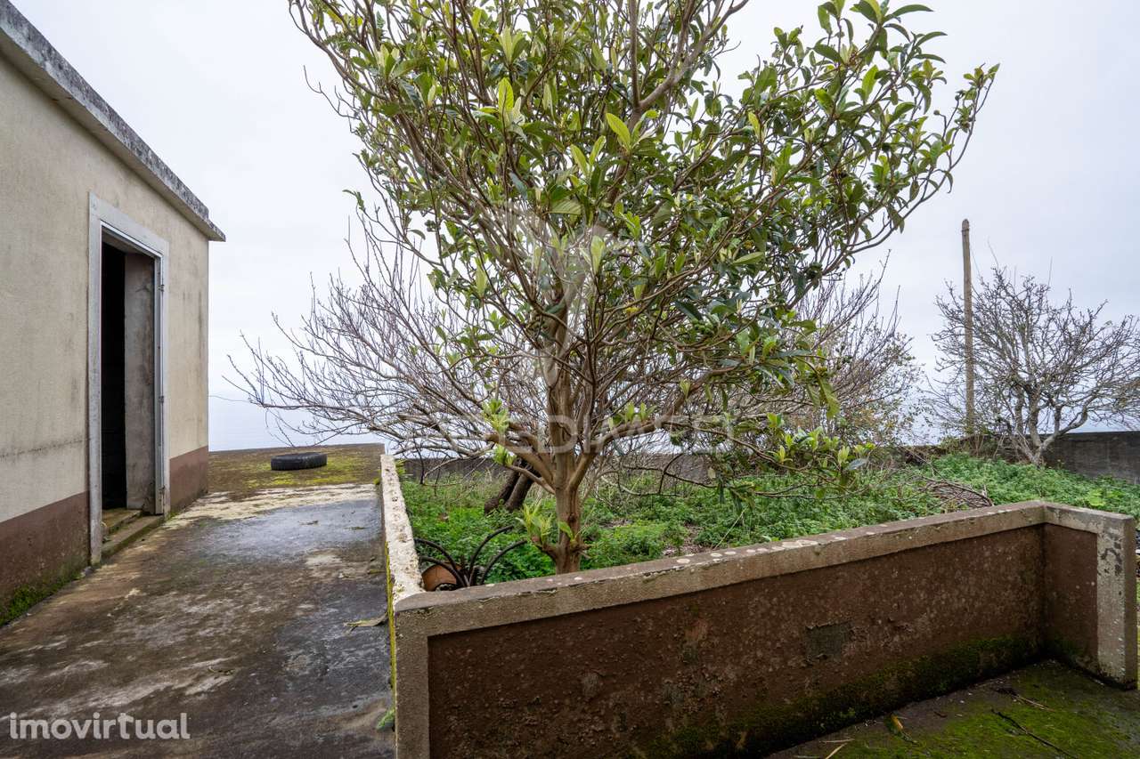 Moradia T3 para Renovação, Santa, Porto Moniz - Grande imagem: 3/24