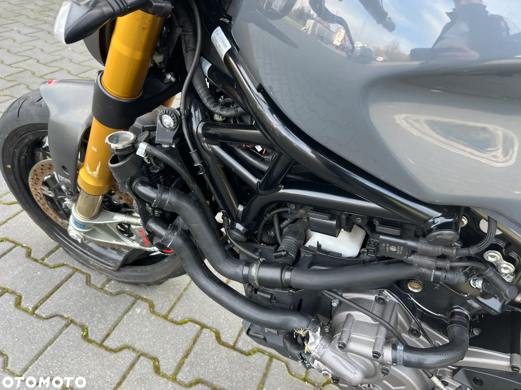 Ducati Monster - 25