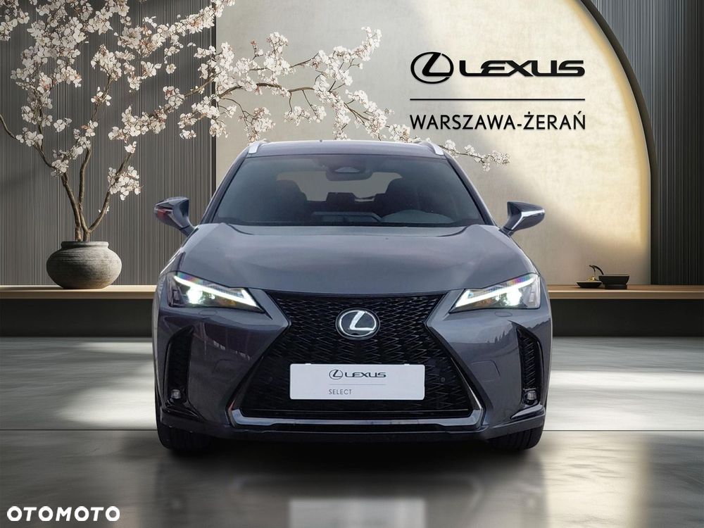 Lexus UX 300h F Sport Design - 10