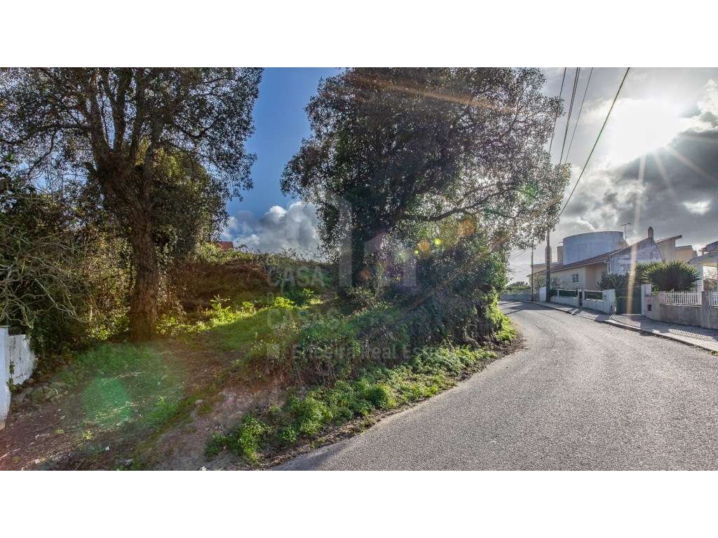 Vende Terreno - Ericeira 15 km, A Casa das Casas - Grande imagem: 4/6