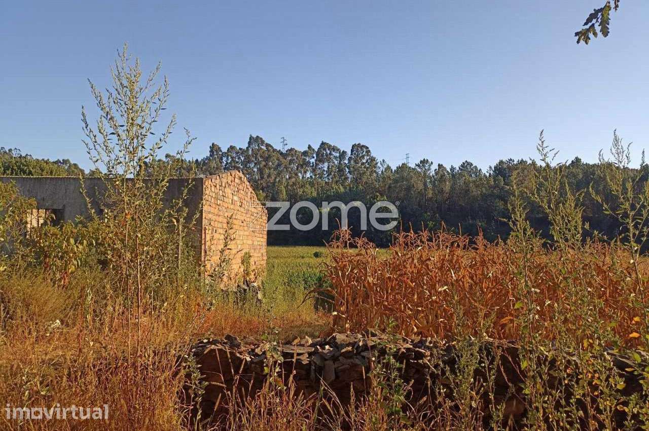 Terreno com 20.655m2 e Ruína com 452m2 em Covelas - Trofa - Grande imagem: 4/22