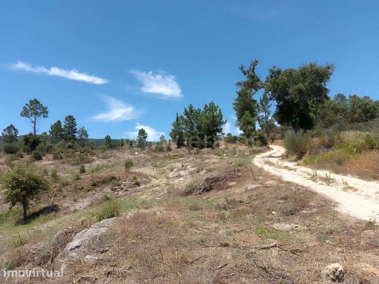Terreno / Fundão, Vale de Prazeres e Mata da Rainha - Grande imagem: 3/8