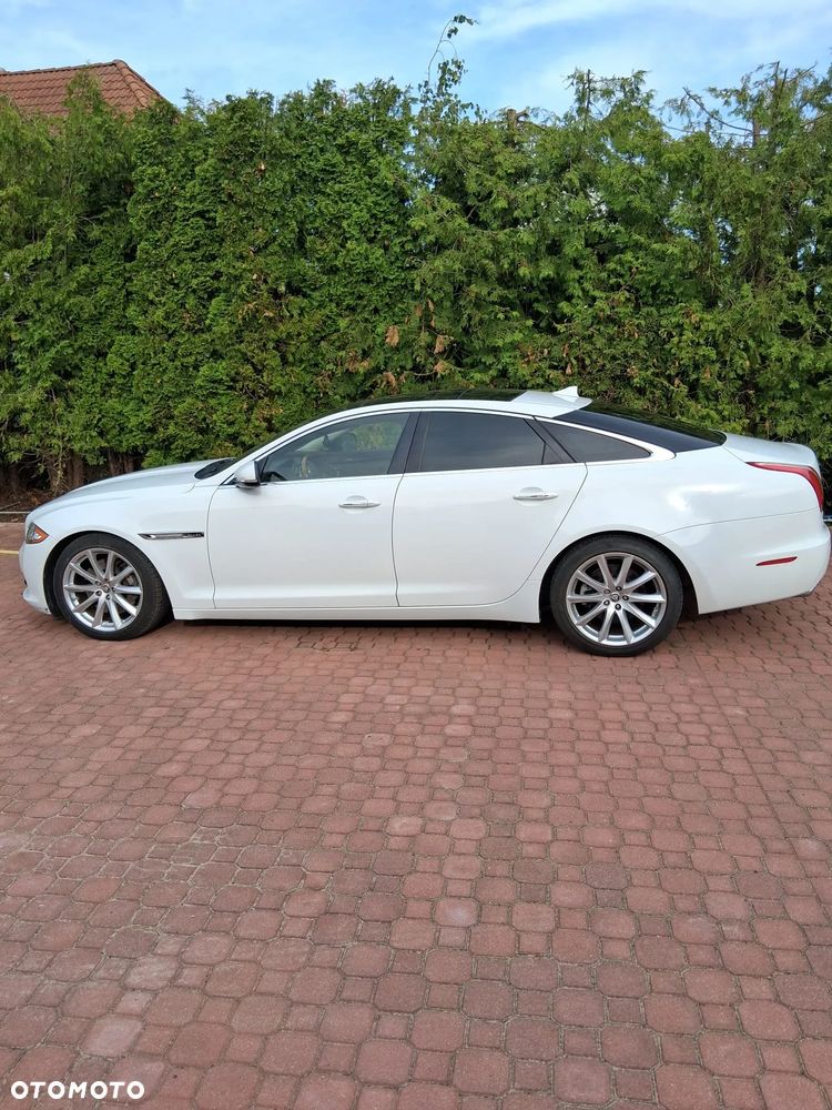 Jaguar XJ 3.0 V6 Kompressor Portfolio - 10