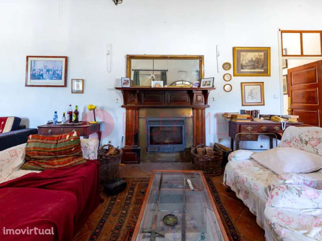 Quinta Tradicional T3 com 2ha e Olival em São Brás de Alportel - Grande imagem: 4/18