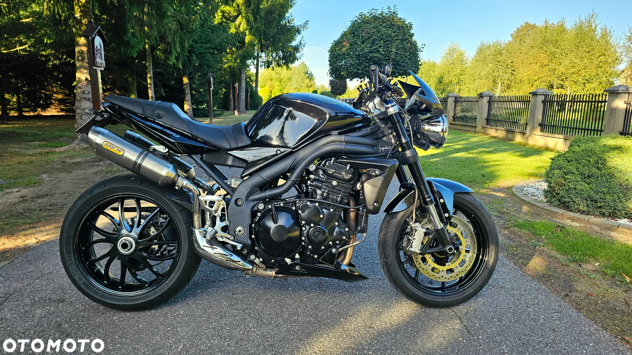 Triumph Speed Triple - 2