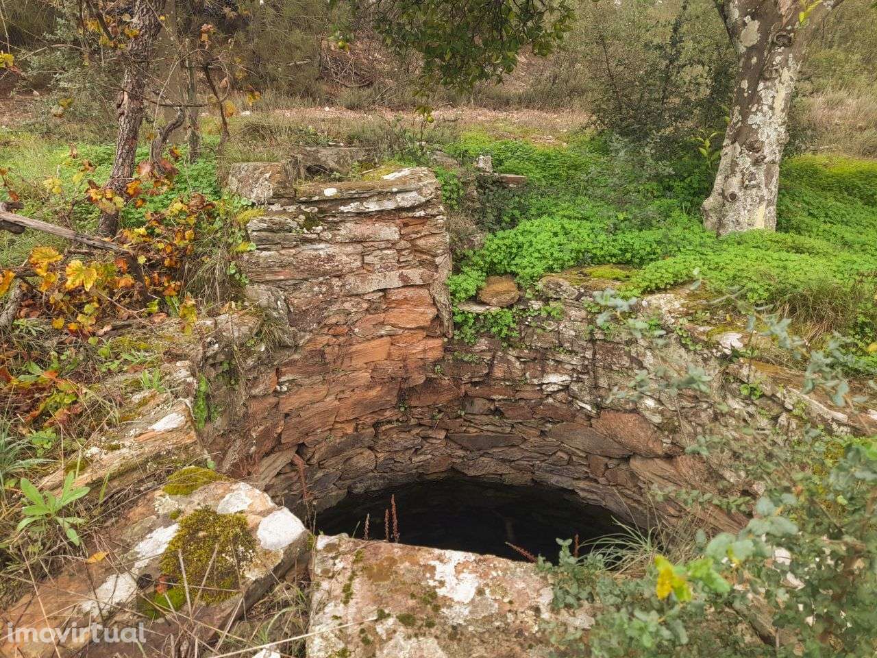 Quinta - Grande imagem: 4/12