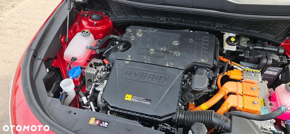 Kia Niro 1.6 GDI HEV 2WD OPF Vision - 13