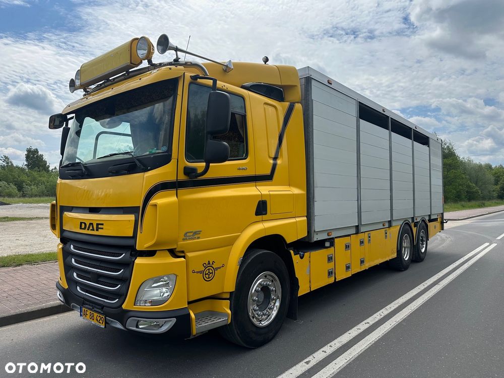 DAF CF 440  DO BYDLA -ZWIERZAT -ZYWCA - 3