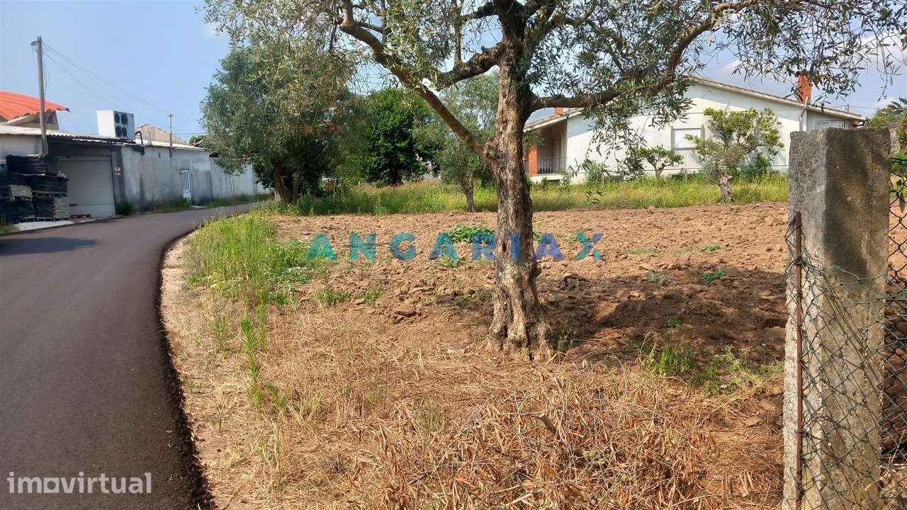 ANG1601 - Terreno para Venda em Vermoil, Pombal - Grande imagem: 5/6